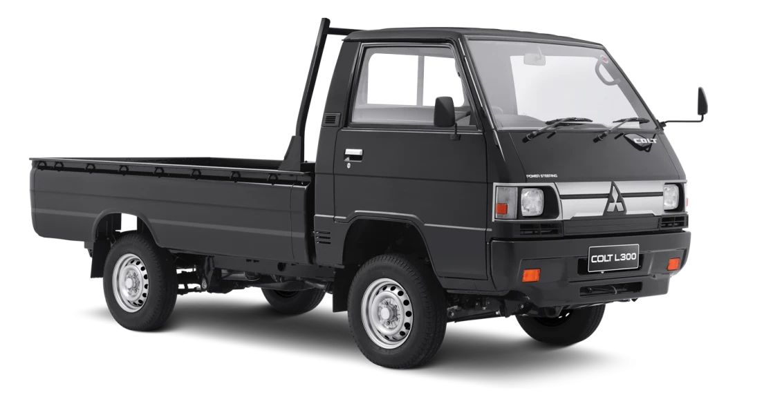 L300